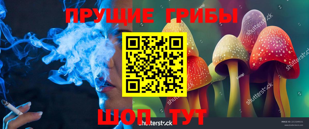 Псилоцибиновые грибы MAGIC MUSHROOMS  купить   Люберцы  Вход с VPN 